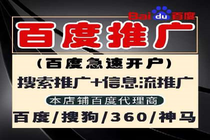 百度推广在电商领域的应用：成功提升销售额的秘诀